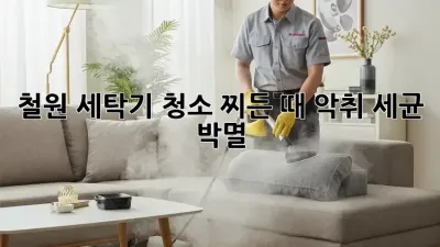 철원 세탁기 청소: 찌든 때, 악취, 세균 박멸!