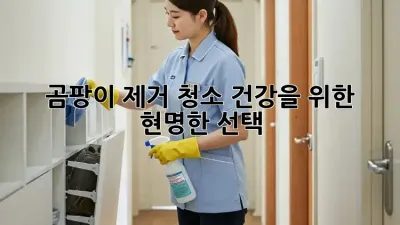 곰팡이 제거 청소: 건강을 위한 현명한 선택